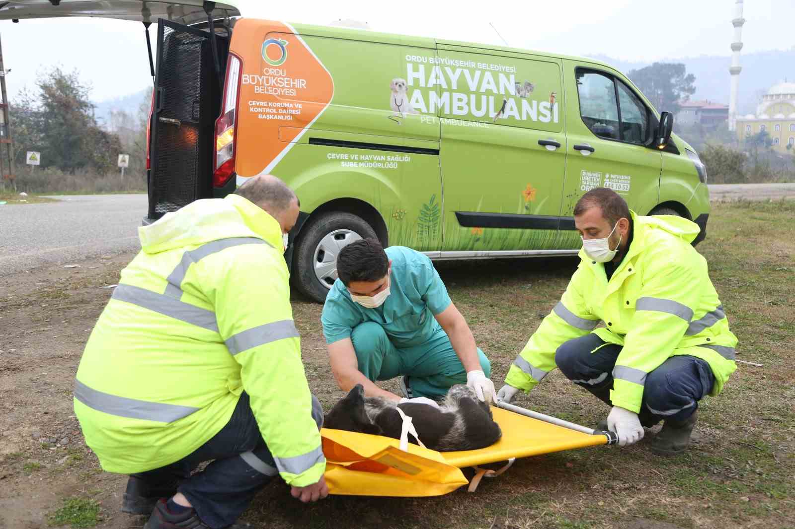 HAYVAN AMBULANSI CAN DOSTLARA CAN KATTI
